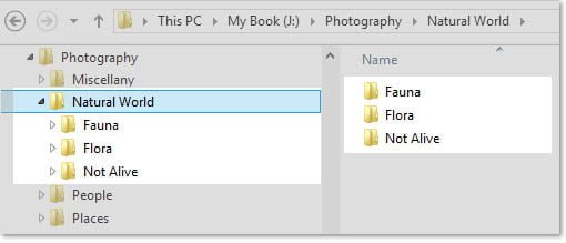 File Structure in Windows Explorer - Level 2