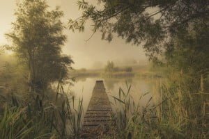 Mist over Pond Photo by Maggie Ingram