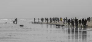 Gathering on the Beach Photo by Maggie Ingram